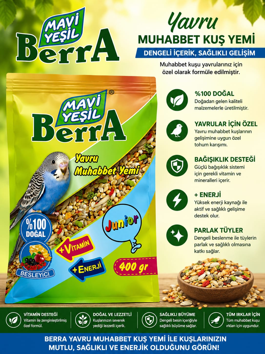 Mavi Yeşil Berra Yavru Muhabbet Kuşu Yemi Junior 400 g