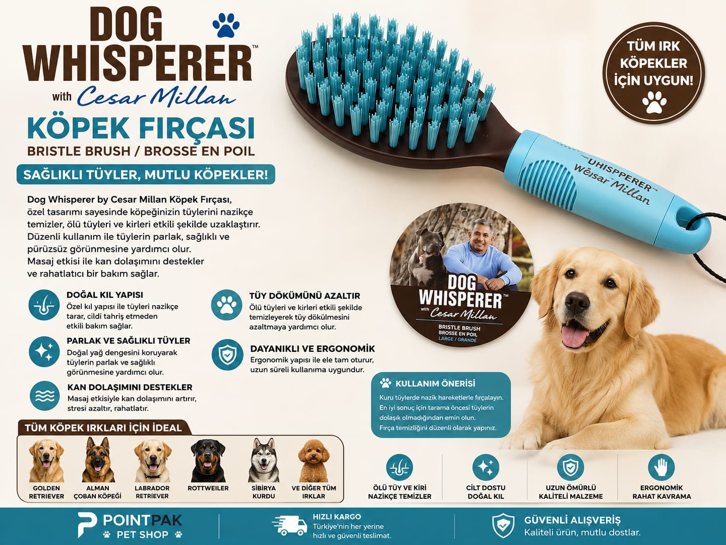 🐶💙 Dog Whisperer Cesar Millan Köpek Fırçası