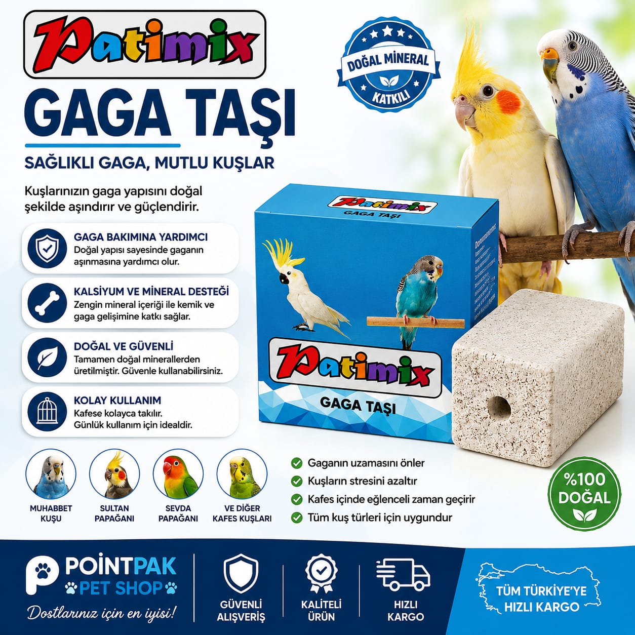 Patimix Gaga Taşı