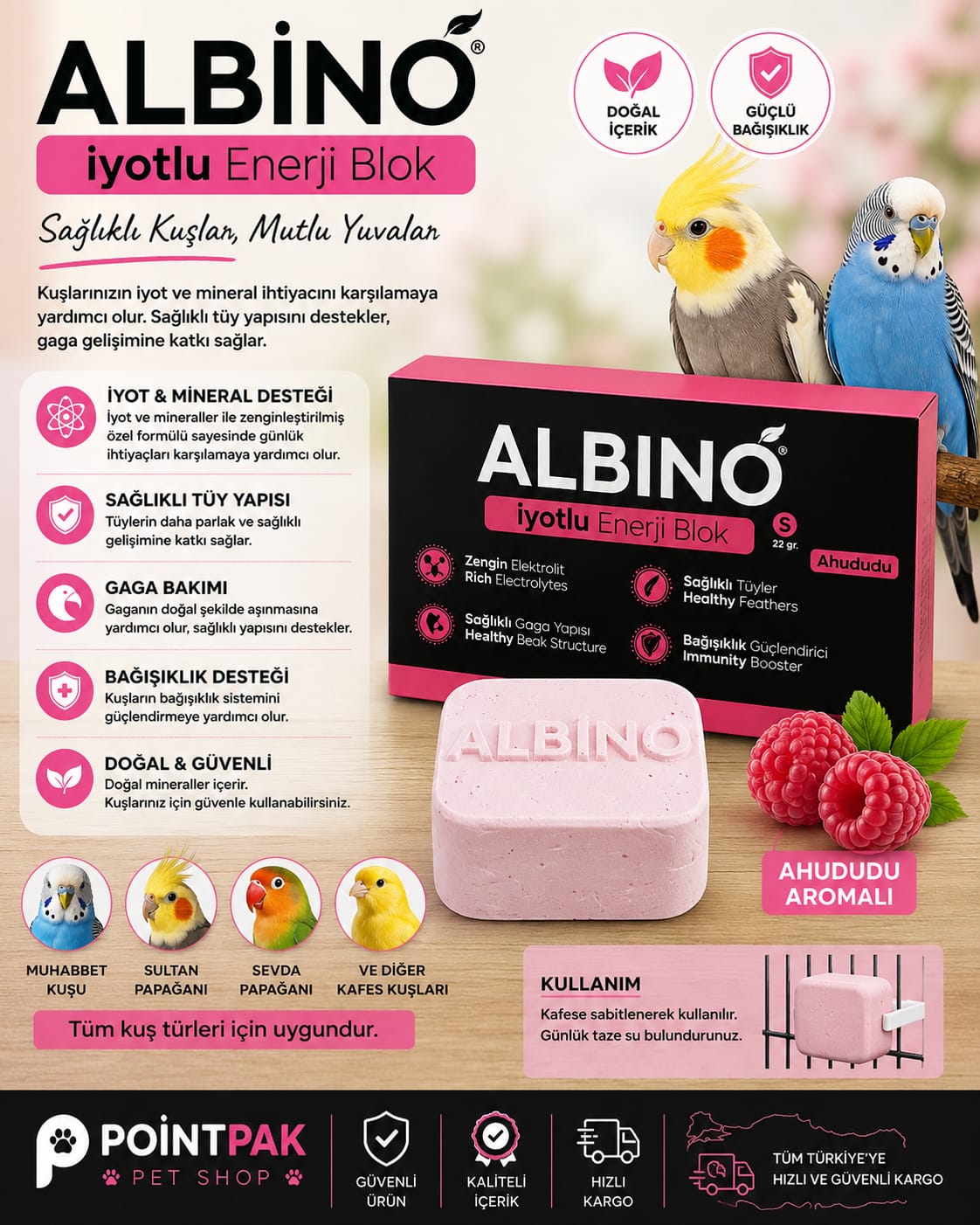 🩷 Albino İyotlu Enerji Blok – Ahududu Aromalı 🐦