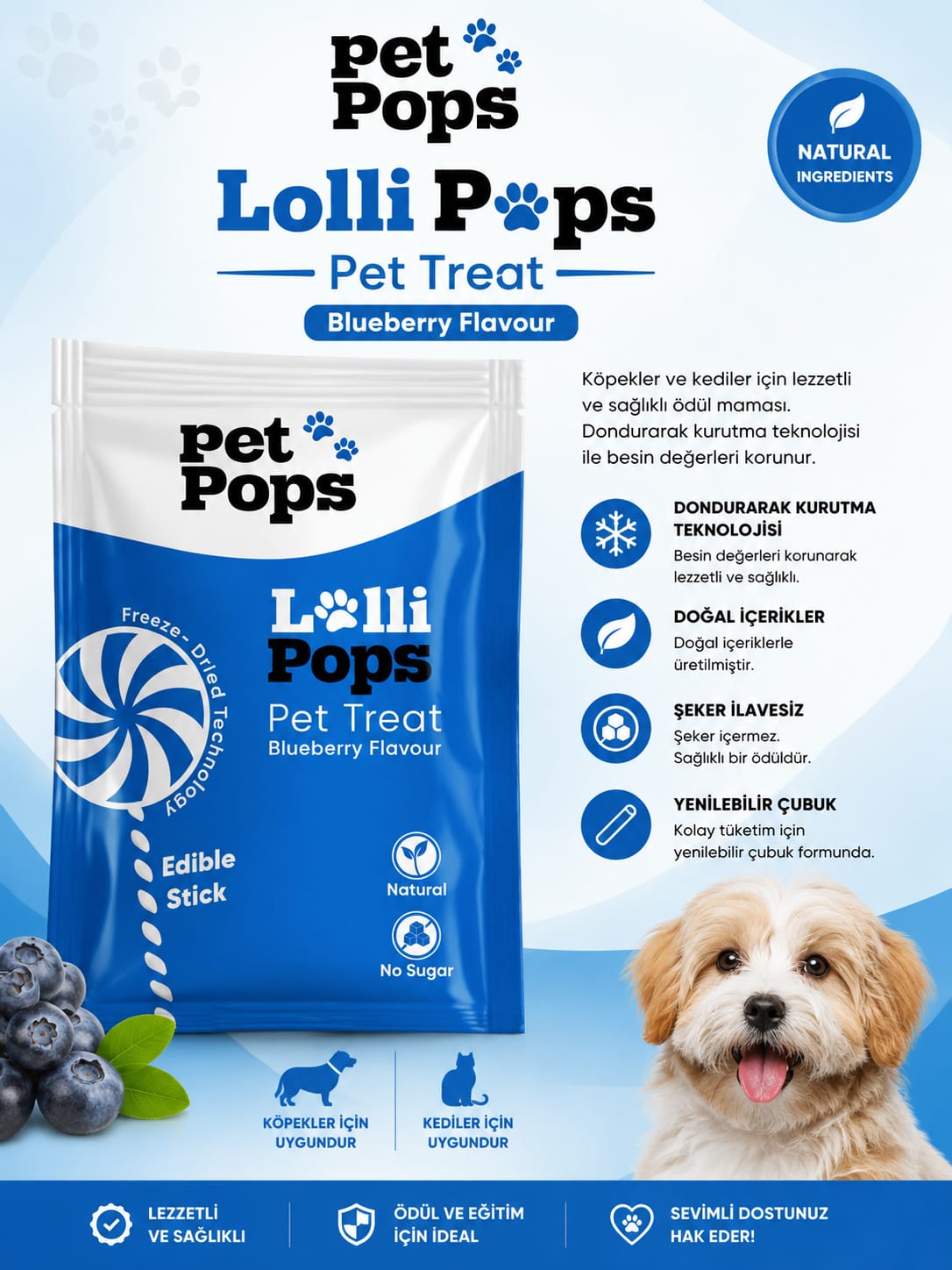 Pet Pops Lolli Pops Blueberry Flavour Köpek ve Kedi Ödül Maması