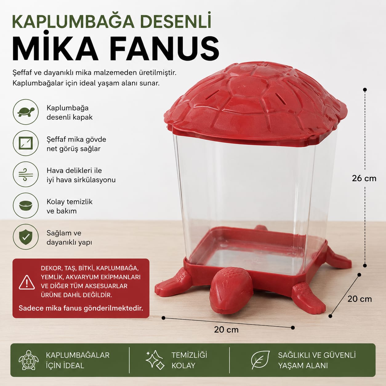 🐢 Kaplumbağa Desenli Mika Fanus