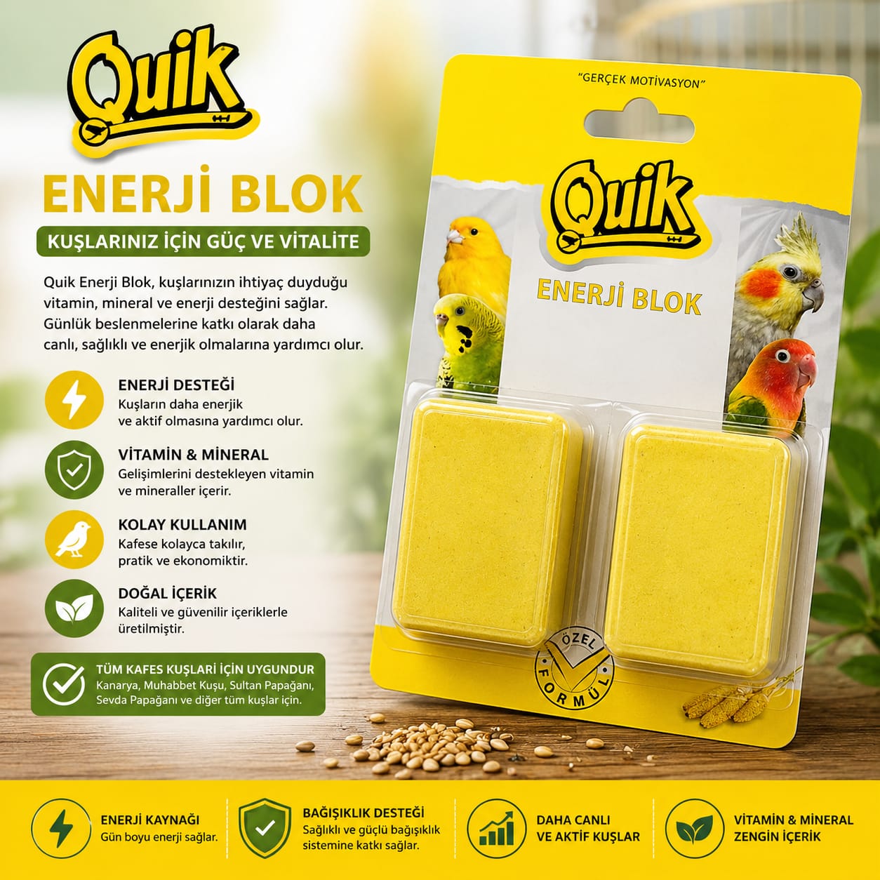Quik Enerji Blok – 2'li Kuş Vitamini ve Mineral Bloğu