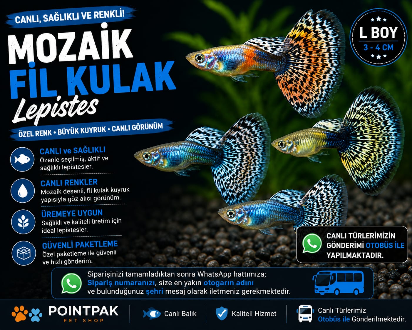 🐠 Mozaik Fil Kulak Lepistes