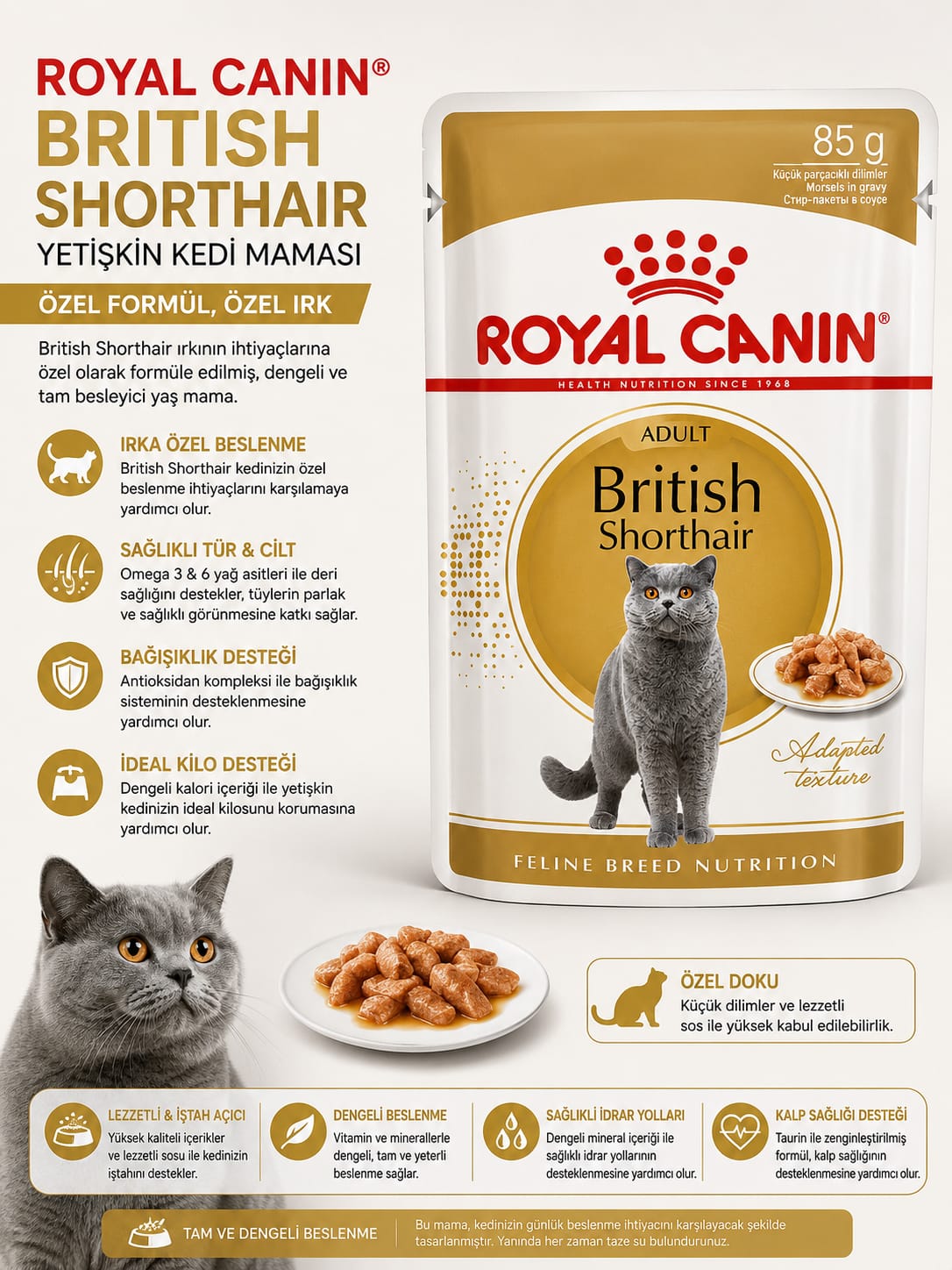 🐱 Royal Canin British Shorthair Adult Yaş Kedi Maması – 85 g 🐱