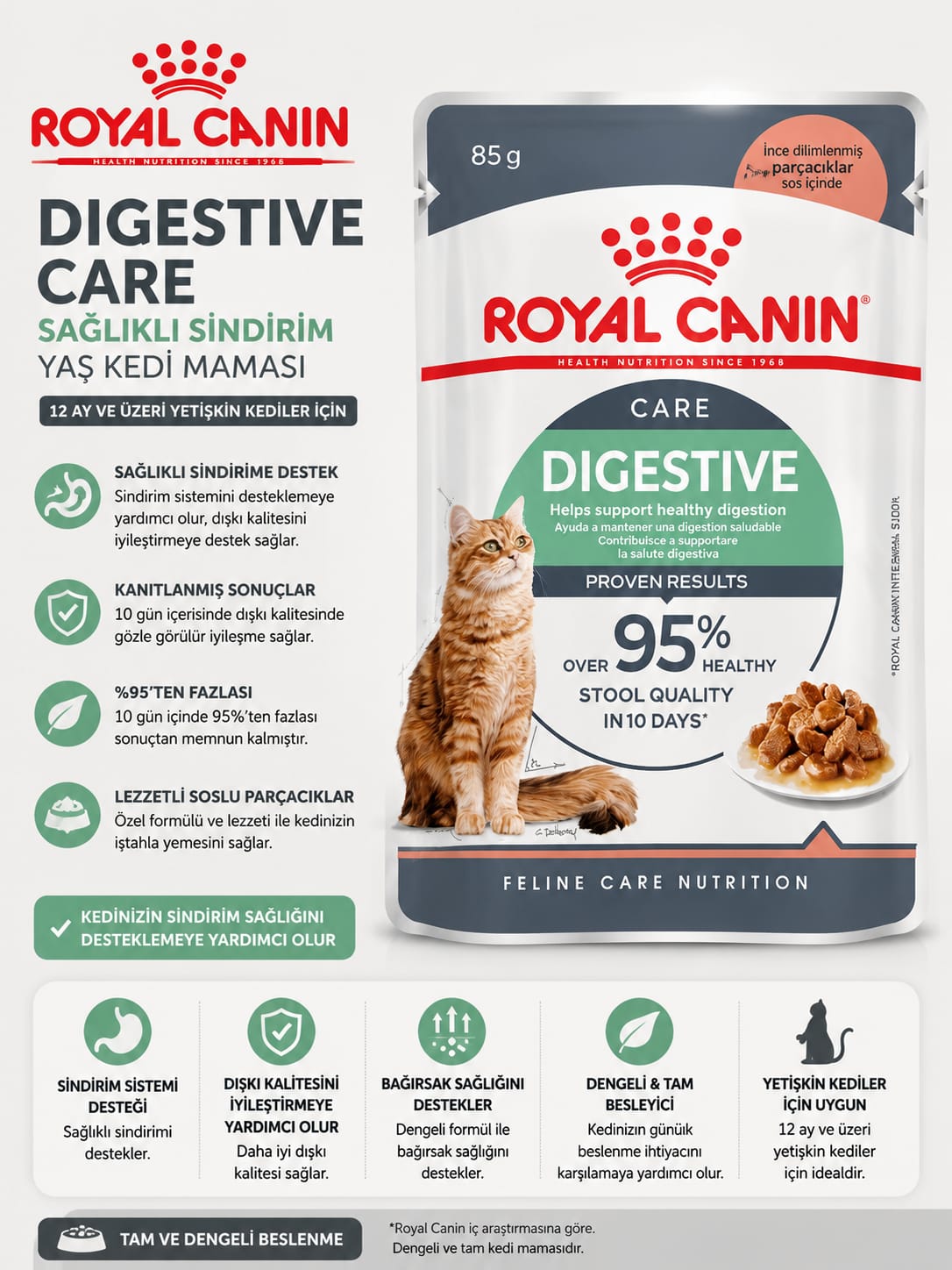 🐱 Royal Canin Digestive Care Yaş Kedi Maması – 85 g 🐱