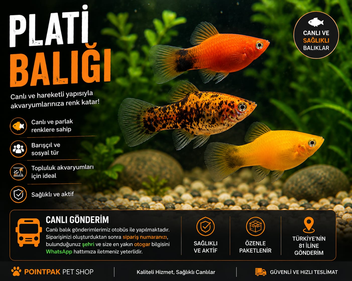 Plati