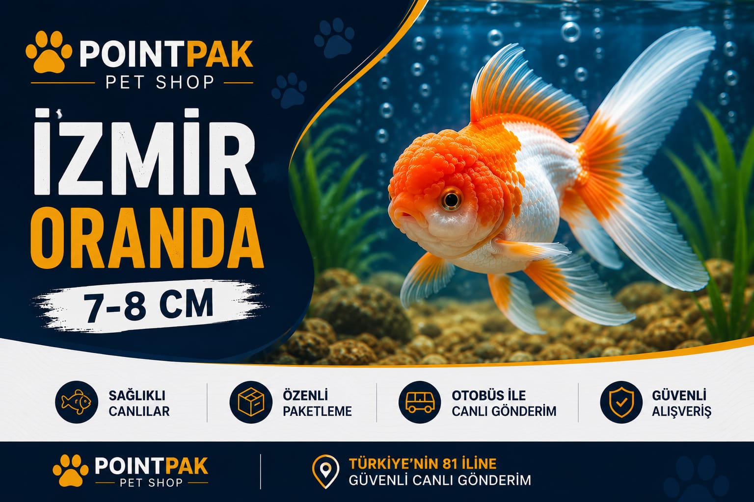 İzmir Oranda Japon Balığı – 7-8 cm
