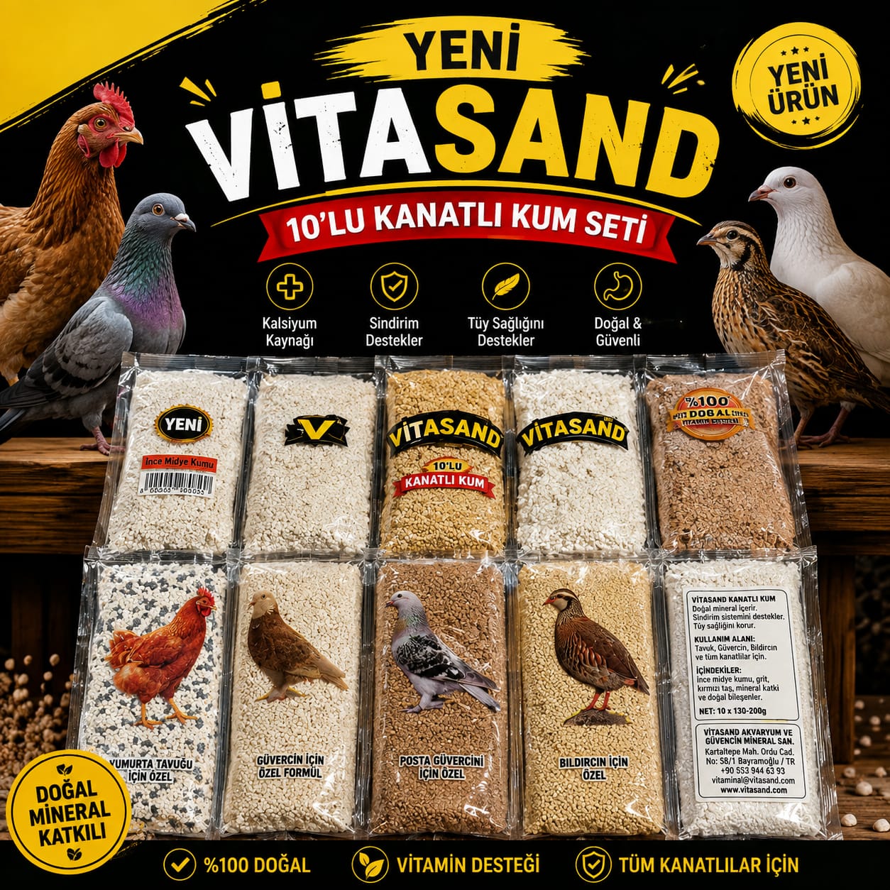 Vitasand 10’lu Kanatlı Kum Seti