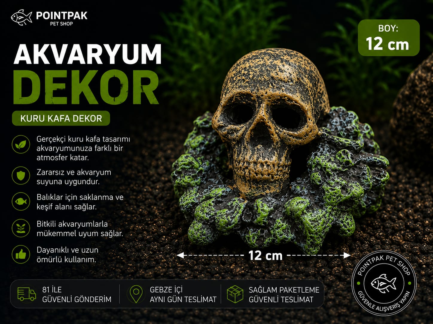 Kuru Kafa Akvaryum Dekoru