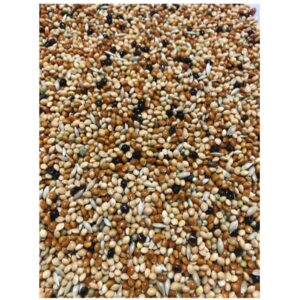 Açık Muhabbet Kuşu Yemi (1 kg)