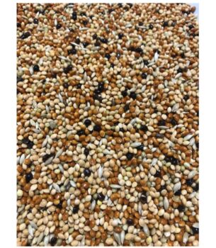 Açık Muhabbet Kuşu Yemi (1 kg)