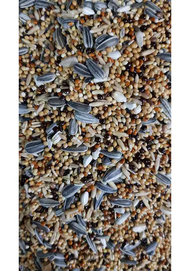 Açık paraket (çekirdekli) 1 kg