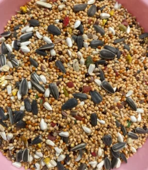 Paraket yem açık (500 gram)